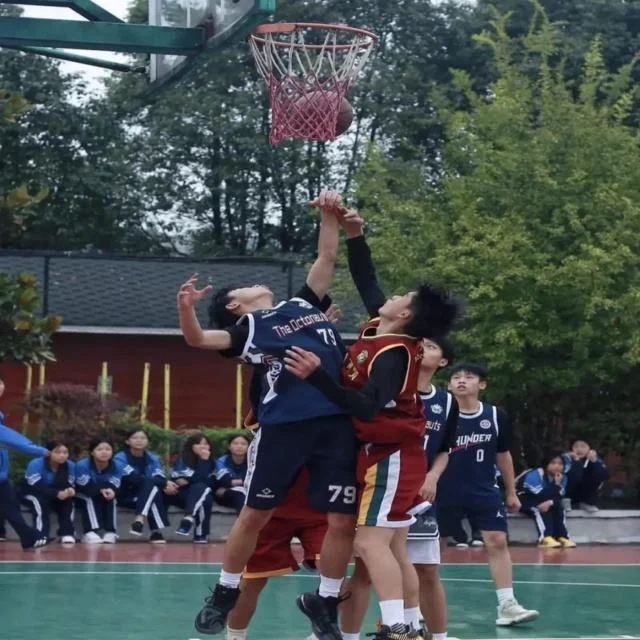 NBA西部排名混战局势解析